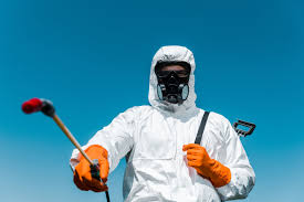 Best Residential Pest Control  in Painted Post, NY